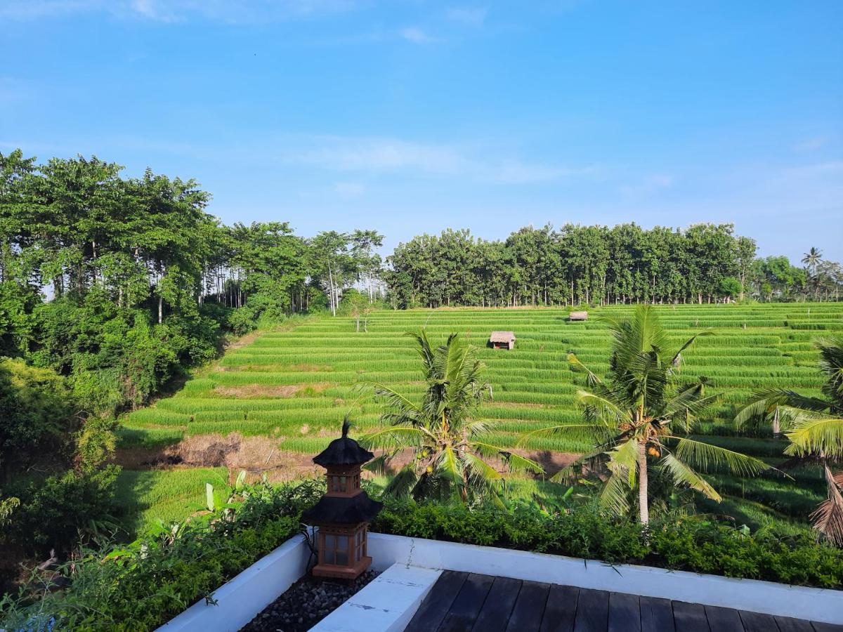 Serenity Private Villa Mas Ubud 외부 사진