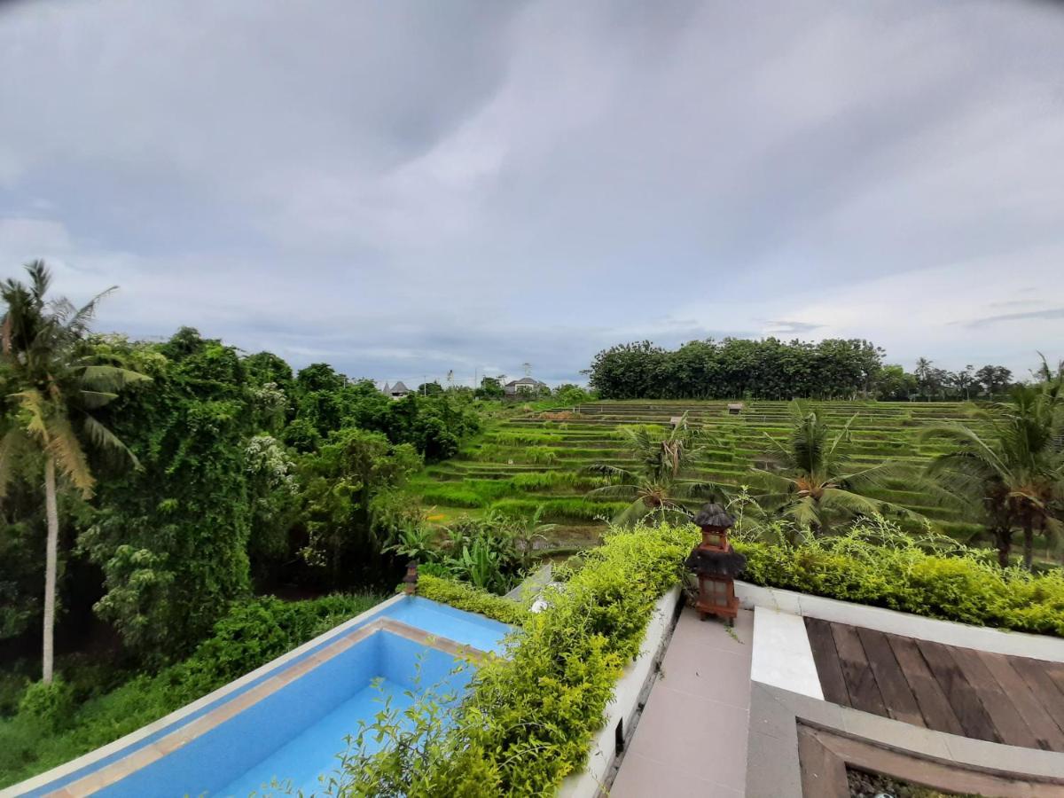 Serenity Private Villa Mas Ubud 외부 사진