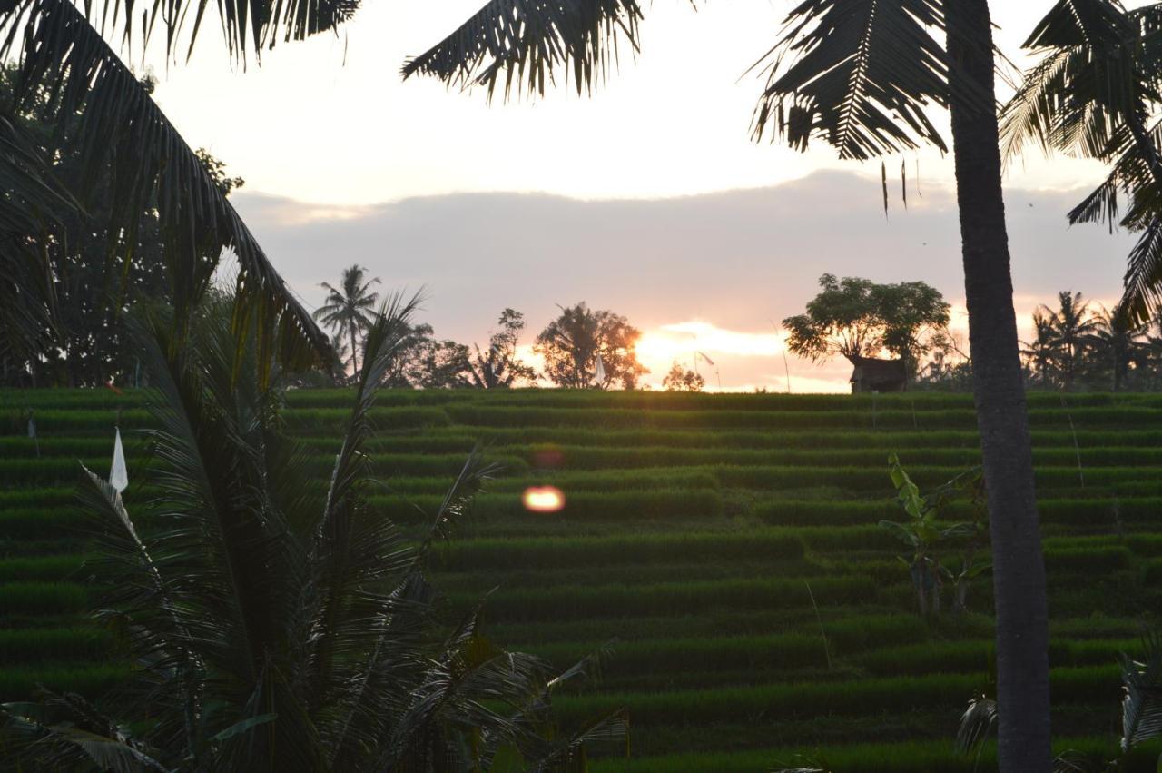 Serenity Private Villa Mas Ubud 외부 사진