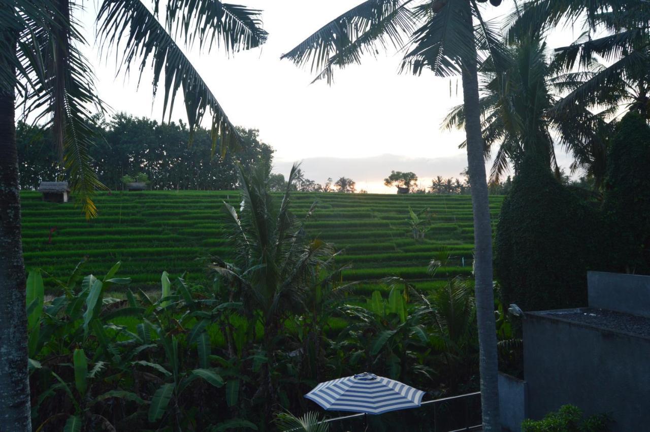 Serenity Private Villa Mas Ubud 외부 사진
