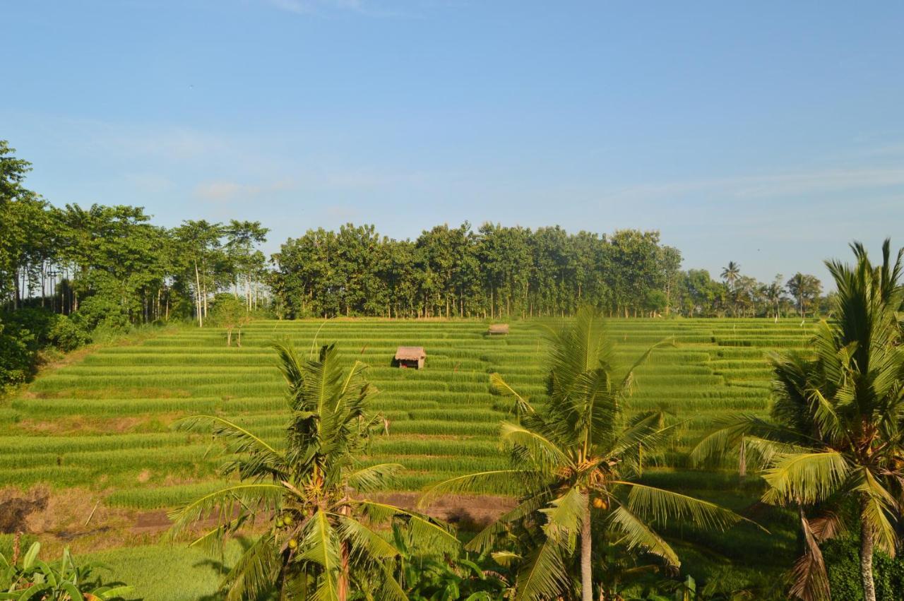 Serenity Private Villa Mas Ubud 외부 사진