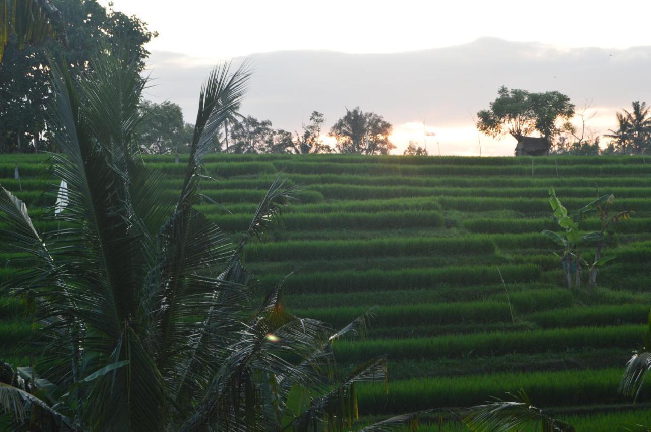 Serenity Private Villa Mas Ubud 외부 사진
