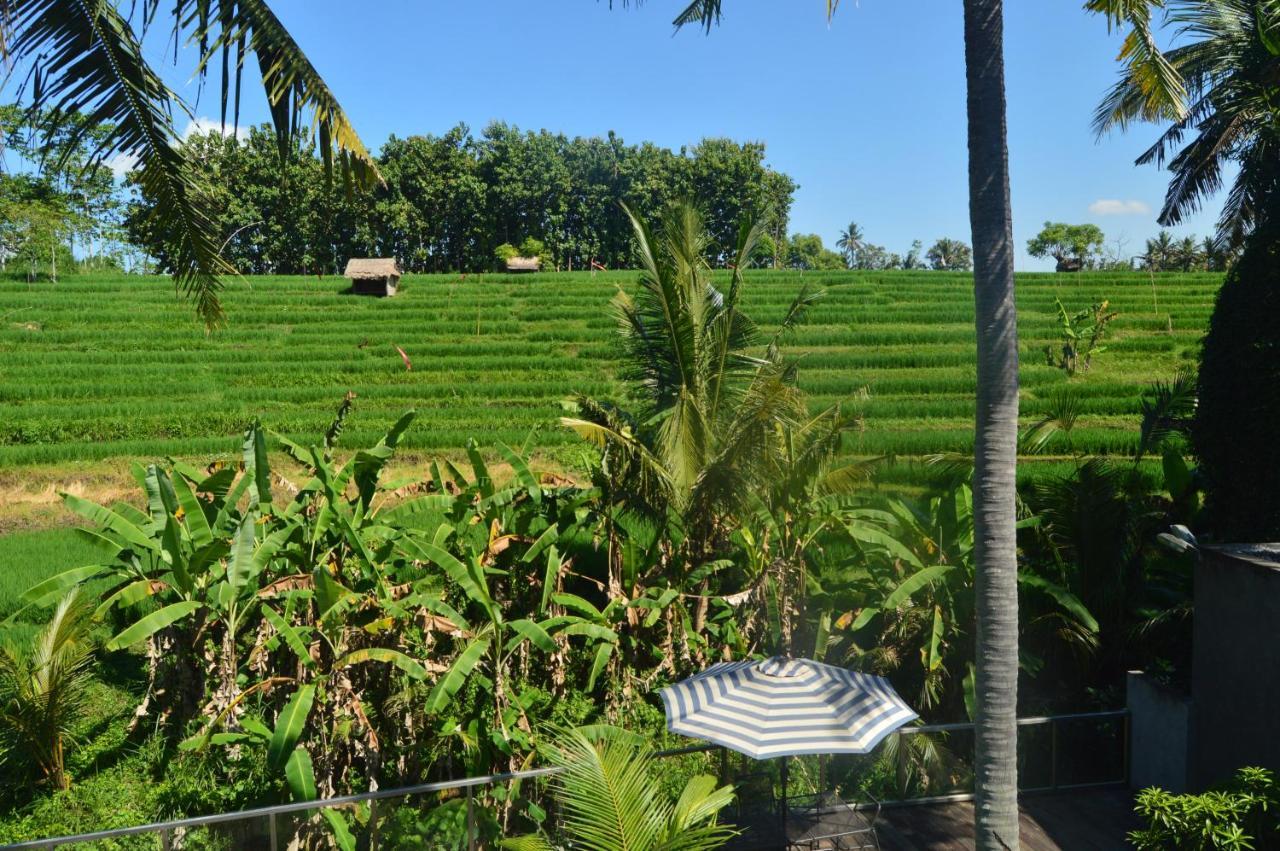 Serenity Private Villa Mas Ubud 외부 사진